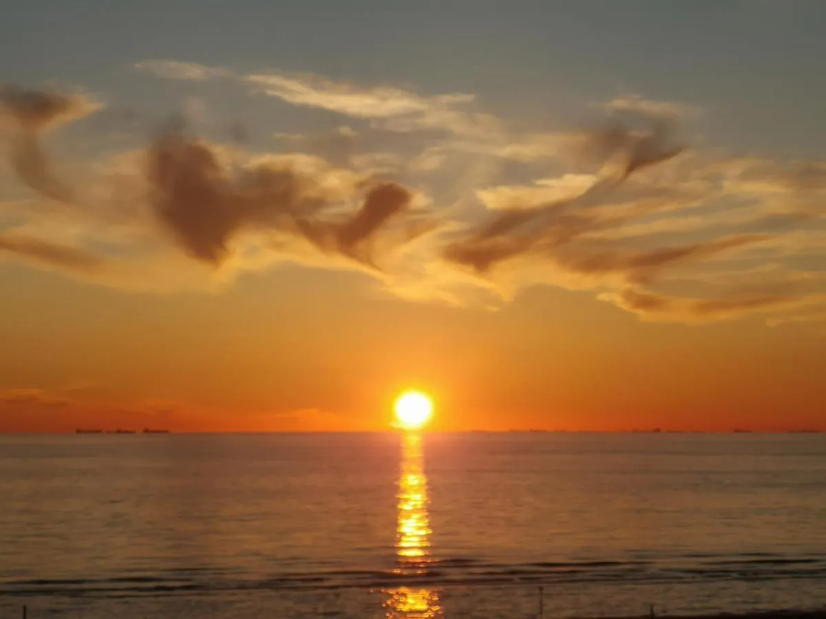 Beach Apartments Seaview 잔드보르트