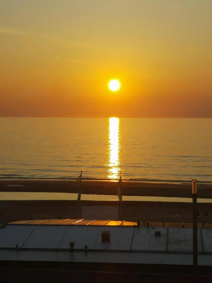 Beach Apartments Seaview 잔드보르트
