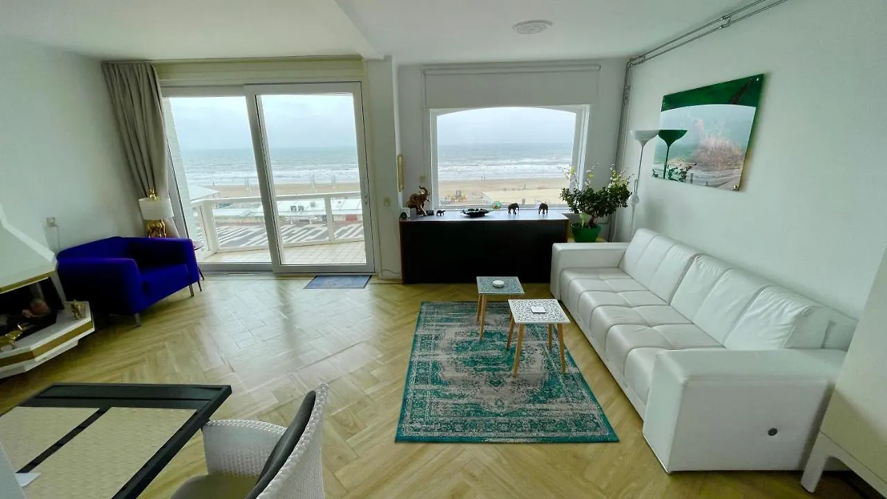 Beach Apartments Seaview 잔드보르트
