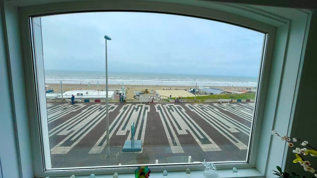 Beach Apartments Seaview 잔드보르트