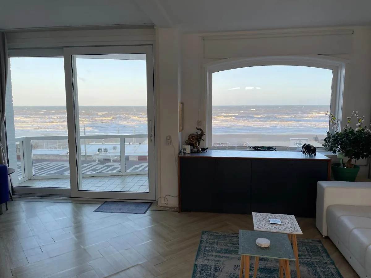 Beach Apartments Seaview 잔드보르트