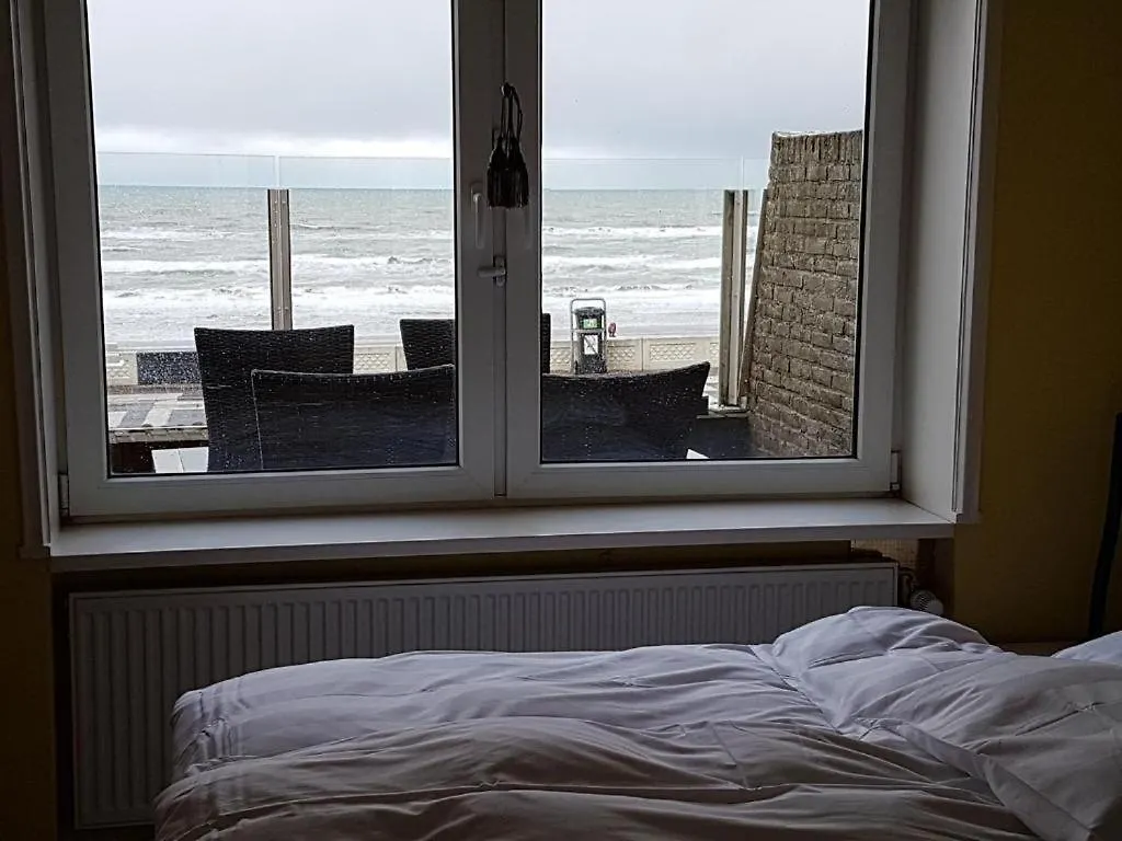 Beach Apartments Seaview 잔드보르트 0*,